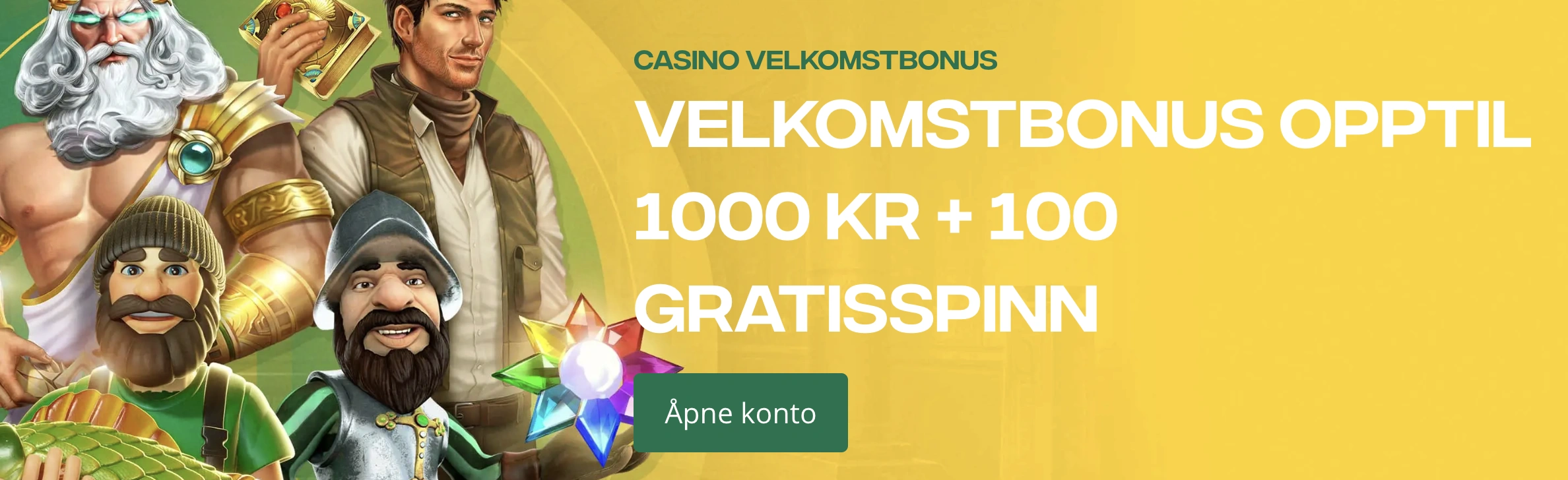 Promotional Banner